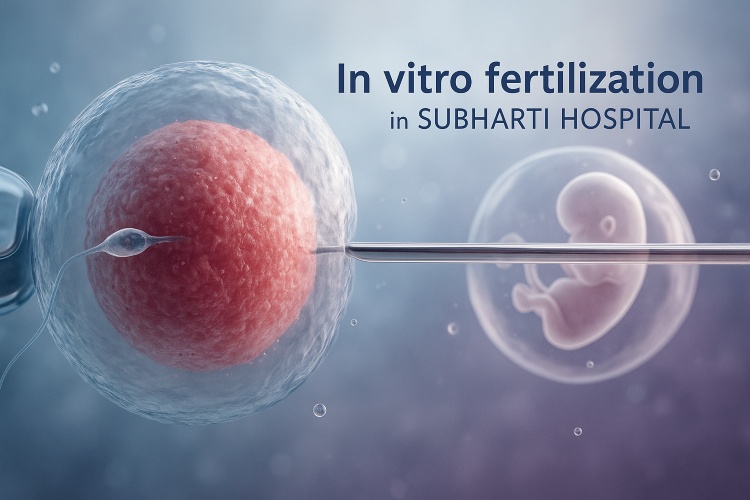 IVF Treatment in Meerut