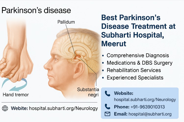 Parkinson Disease Treatment in Meerut